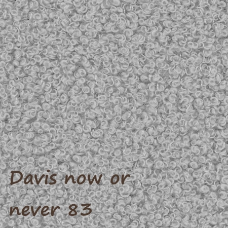 Now or never 83 ewoodland.pl