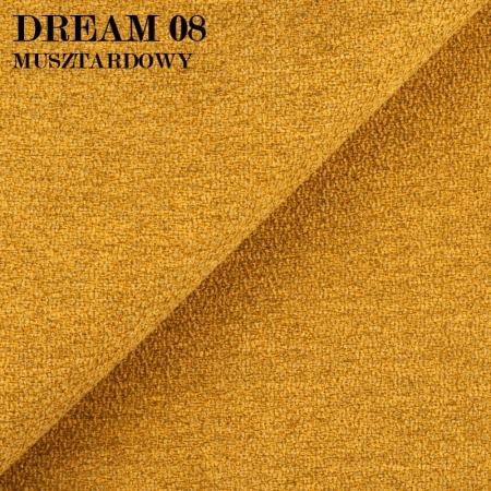 DREAM 08