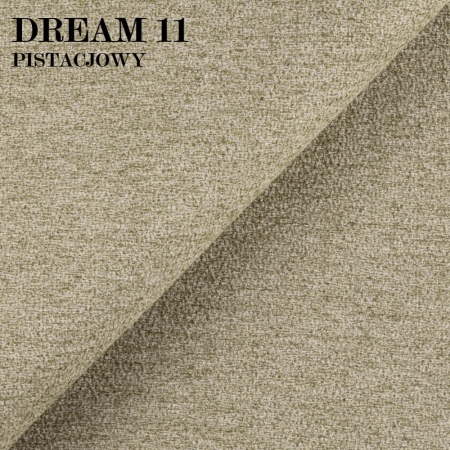 DREAM 11