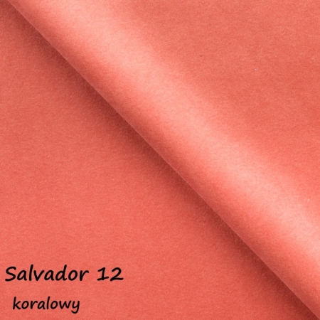 Salvador 12 ewoodland.pl
