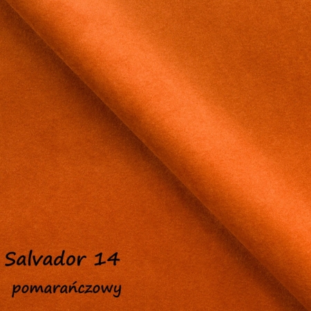 Salvador 14 ewoodland.pl