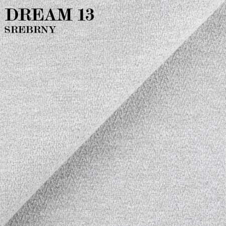 DREAM 13