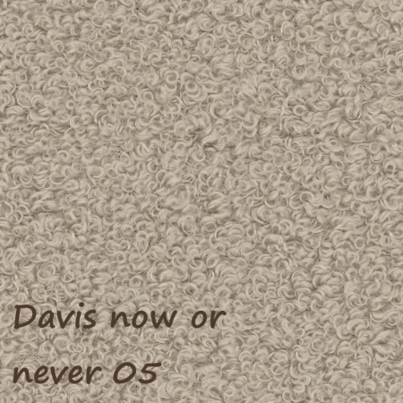 Now or never 05 ewoodland.pl