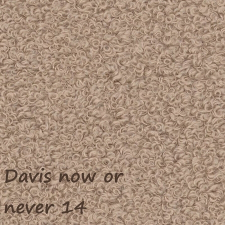 Now or never 14 ewoodland.pl