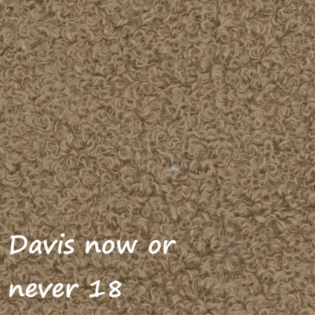 Now or never 18 ewoodland.pl