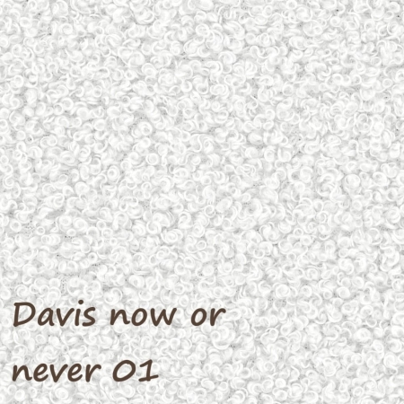 Now or never 01 ewoodland.pl