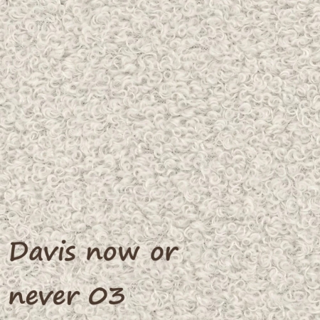 Now or never 03 ewoodland.pl