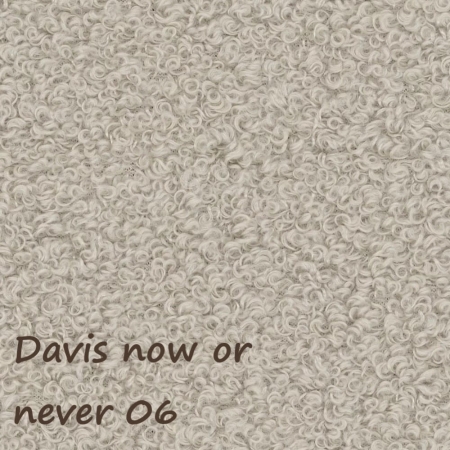 Now or never 06 ewoodland.pl