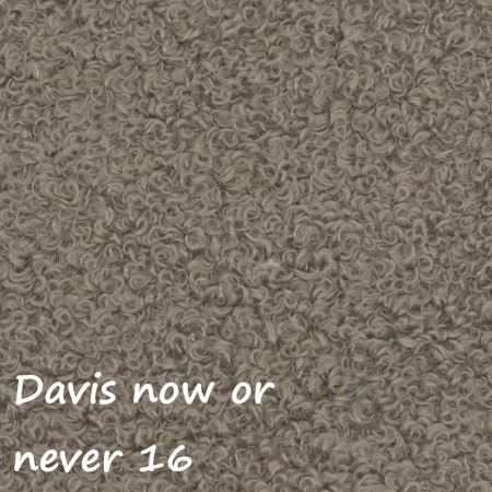 Now or never 16 ewoodland.pl