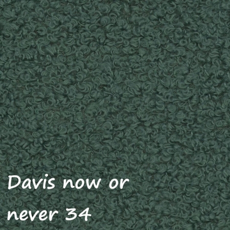 Now or never 34 ewoodland.pl