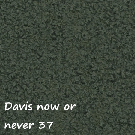 Now or never 37 ewoodland.pl