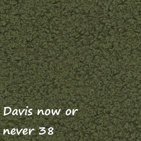 Now or never 38 ewoodland.pl