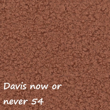 Now or never 54 ewoodland.pl