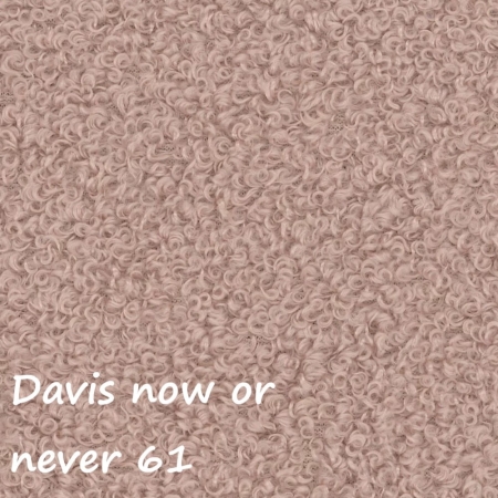 Now or never 61 ewoodland.pl