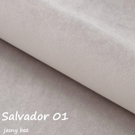 Salvador 01 ewoodland.pl