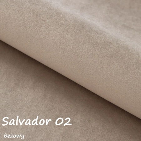 Salvador 02 ewoodland.pl