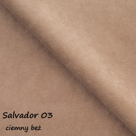 Salvador 03 ewoodland.pl