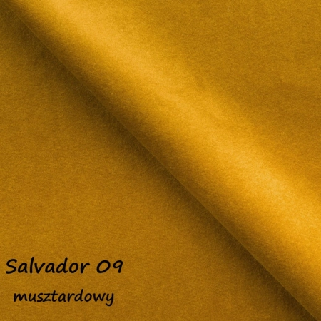 Salvador 09 ewoodland.pl