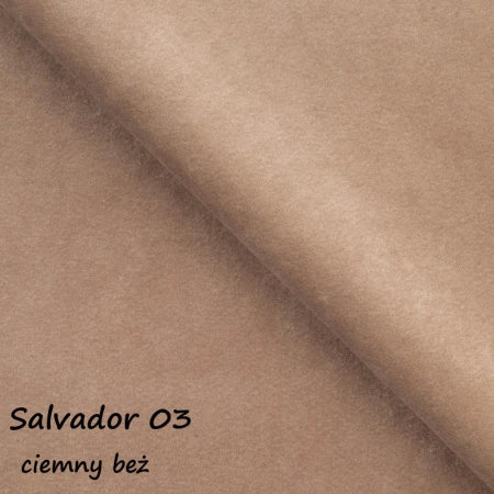 Salvador 03 ewoodland.pl