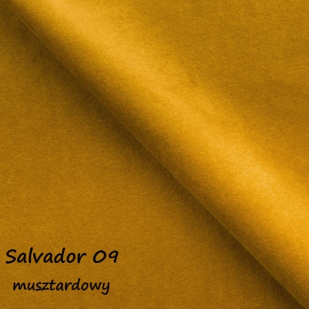 Salvador 09 ewoodland.pl