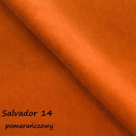 Salvador 14 ewoodland.pl