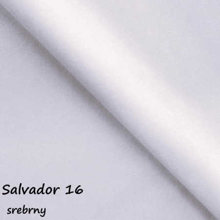 Salvador 16 ewoodland.pl