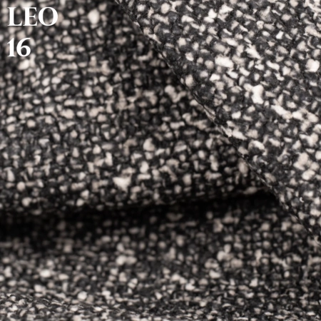 LEO_16