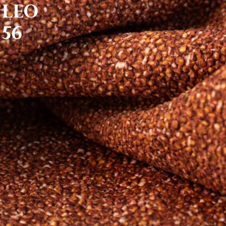 LEO_56