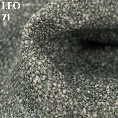 LEO_71