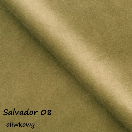 Salvador 08 ewoodland.pl