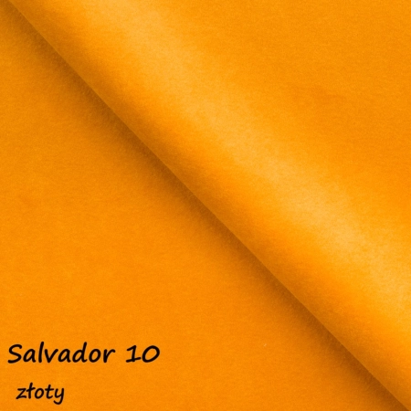 Salvador 10 ewoodland.pl