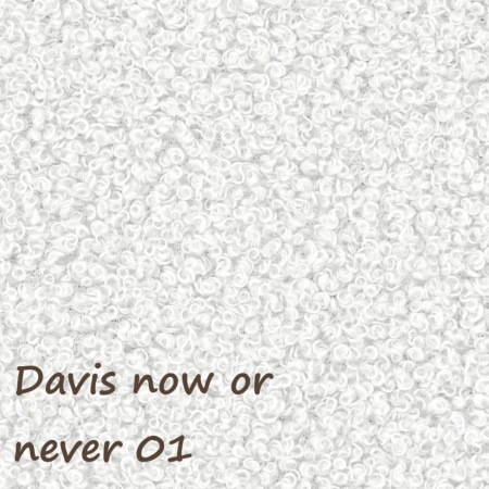 Now or never 01 ewoodland.pl