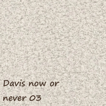 Now or never 03 ewoodland.pl