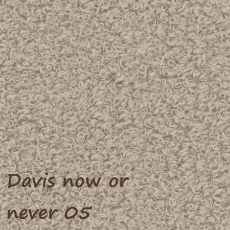 Now or never 05 ewoodland.pl
