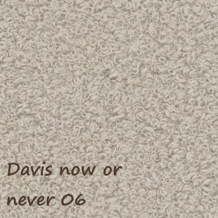 Now or never 06 ewoodland.pl