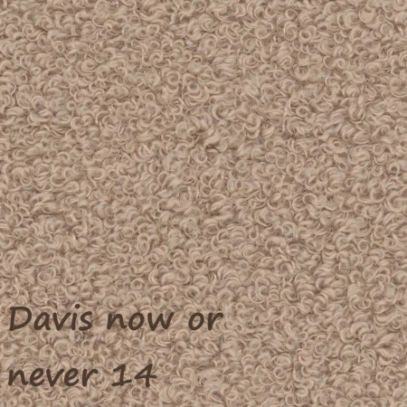 Now or never 14 ewoodland.pl