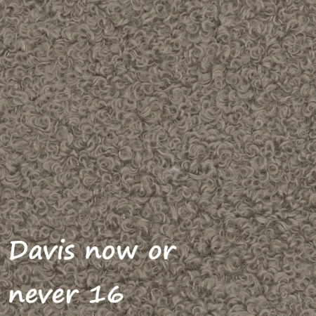 Now or never 16 ewoodland.pl