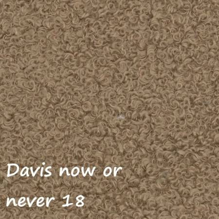 Now or never 18 ewoodland.pl