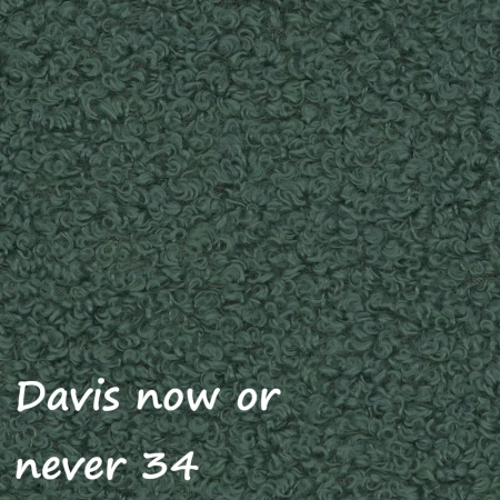 Now or never 34 ewoodland.pl