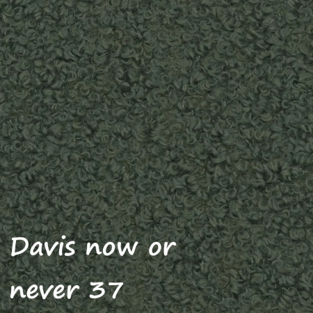 Now or never 37 ewoodland.pl
