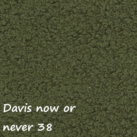 Now or never 38 ewoodland.pl