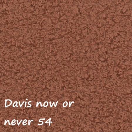Now or never 54 ewoodland.pl