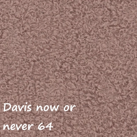 Now or never 64 ewoodland.pl