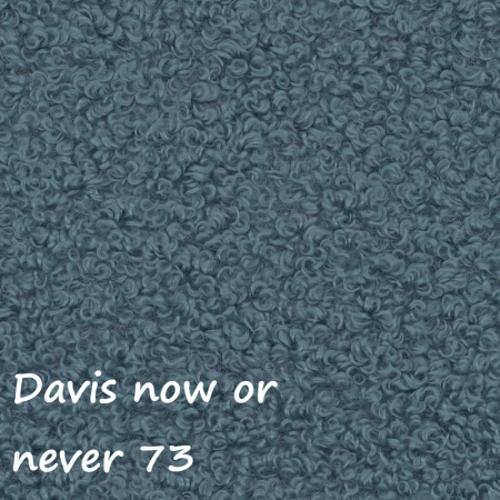 Now or never 73 ewoodland.pl