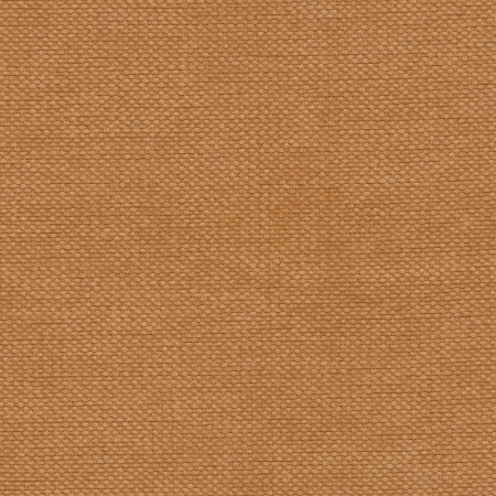 holms-51.webp