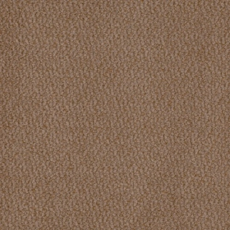 vinci-31