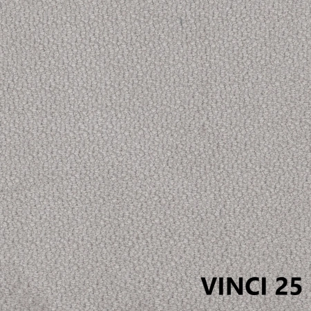 vinci-25.jpg