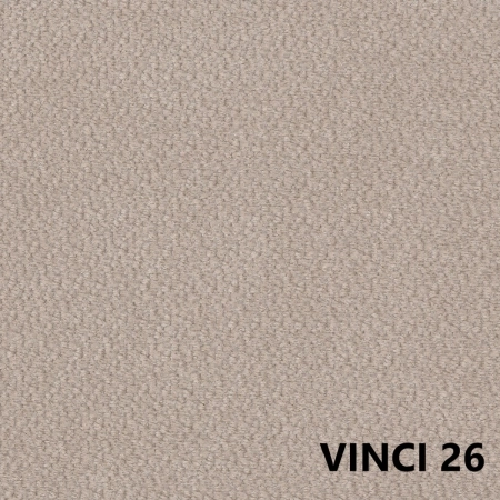 vinci-26.jpg