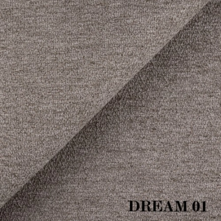 dream-01