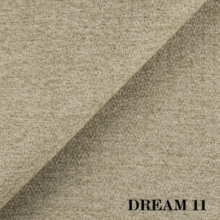 dream-11